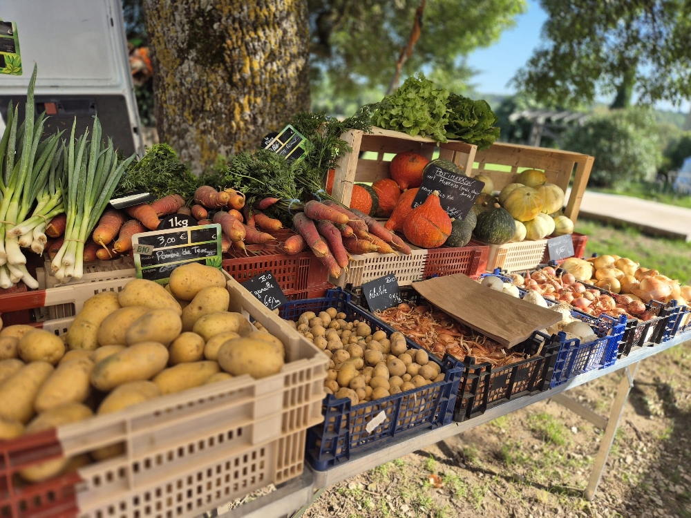 Un marché bio et local et une vélorution...