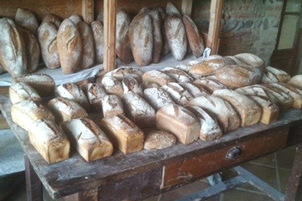 Nos valeurs A Savères, l’association L’Engrain et le Fournil du Painson sèment la vie